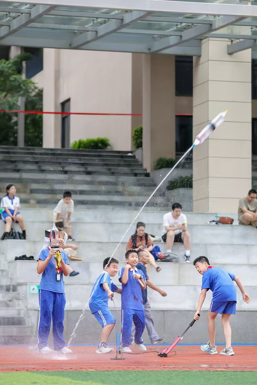 关于游泳项目精彩纷呈，观众欢呼加油的信息